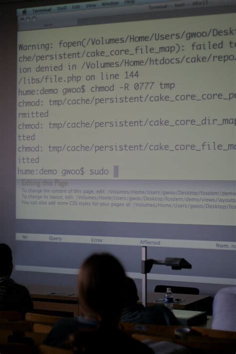 chmod 777 not working